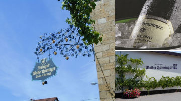 Kallstadt an der Weinstrae, Pfalz. Urlaubsregion Freinsheim. Weinlagen Kallstadter Kobnert, Steinacker, eine der absoluten Top-Lagen der Pfalz - Kallstadter Saumagen.